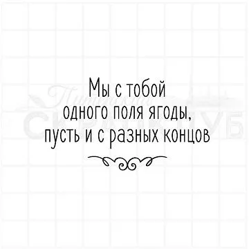 Штамп "Одного поля ягоды", 6,1х3,3 см (Скрапклуб)