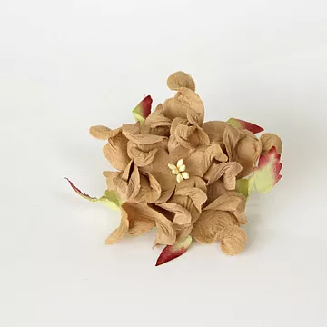 Гардения большая "Кофе с молоком", 7 см, 1 шт (Craft)