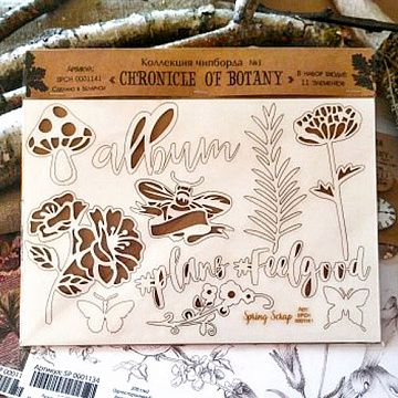 Набор украшений из чипборда "Chronicle of Botany 1" (SpringScrap)